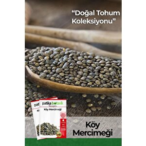 500 Adet Köy Mercimeği Tohumu