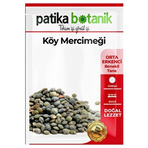 500 Adet Köy Mercimeği Tohumu