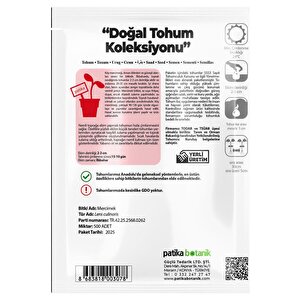 500 Adet Köy Mercimeği Tohumu