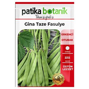 50 Adet Gina Taze Fasulye Tohumu
