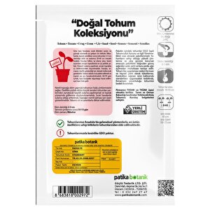 50 Adet Gina Taze Fasulye Tohumu