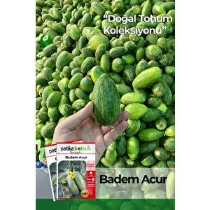 30 Adet Badem Acur Tohumu