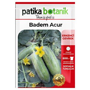 30 Adet Badem Acur Tohumu