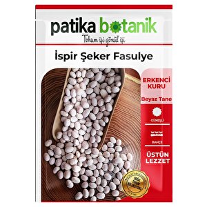 50 Adet İspir Şeker Fasulye Tohumu