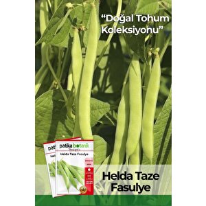 50 Adet Helda Taze Fasulye Tohumu