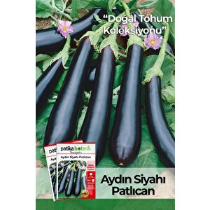 200 Adet Aydın Siyahı Patlıcan Tohumu