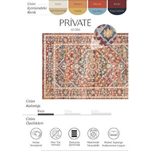 Cool Halı Private Renkli Eskitme Vintage Halı Etnik Desen Dokuma Şönil Halı Yıkanabilir Salon Halısı