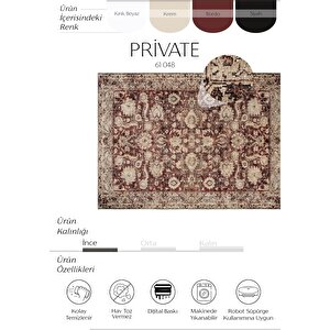 Private Bordo Eskitme Vintage Halı Etnik Desen Otantik Şönil Halı Yıkanabilir Salon Halısı 230x310 cm