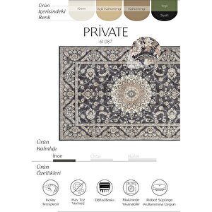 Private Siyah Eskitme Vintage Halı Çiçek Desen Dokuma Şönil Halı Yıkanabilir Salon Halısı 230x310 cm