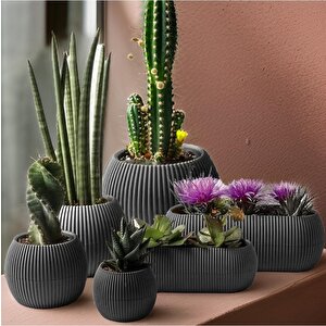 Mercan Dekoratif Sukulent Kaktüs Plastik Saksı Takımı 6'lı Set Antrasit