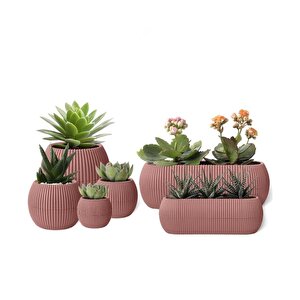 Mercan Dekoratif Sukulent Kaktüs Plastik Saksı Takımı 6'lı Set Pembe