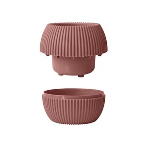 Omnipazar Mercan Dekoratif Sukulent Kaktüs Plastik Saksı Takımı 6'lı Set Pembe