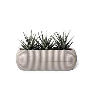 Mercan Dekoratif Sukulent Kaktüs Plastik Saksı Takımı 6'lı Set Bej