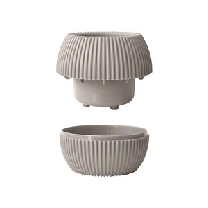 Omnipazar Mercan Dekoratif Sukulent Kaktüs Plastik Saksı Takımı 6'lı Set Bej