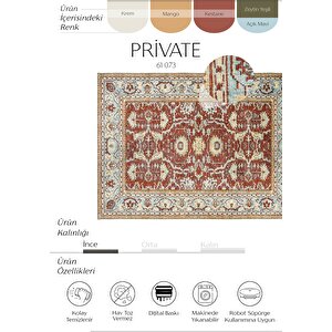 Private Kırmızı Eskitme Halı Etnik Desen Otantik Şönil Halı Yıkanabilir Salon Halısı 230x330 cm