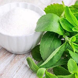 Doğal Şeker Otu Stevia Tohumu (20 Tohum)