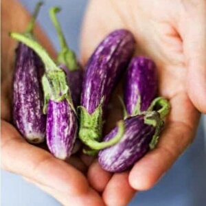 Finger Parmak  Patlıcan Tohumu (15 Tohum)
