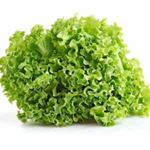 Geleneksel  Soğuğa Dayanıklı Curly Kışlık Yeşil Kıvırcık Marul Tohumu (100tohum)