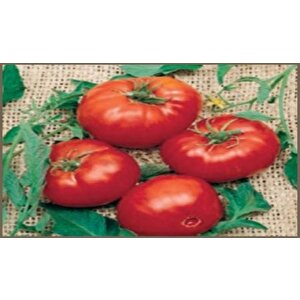 Doğal Brandywine Red Domates Tohumu(20 Adet)