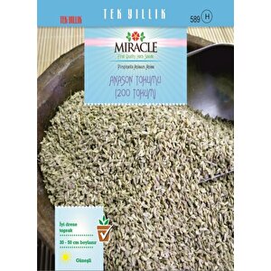 Miracle Anason Tohumu (200 Tohum)
