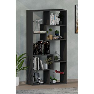 Zebra Dekoratif Kitaplık Antrasit