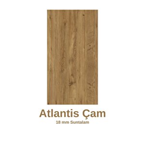Tree Dekoratif Kitaplık Çam