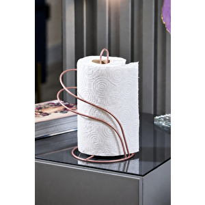 Rose Kuğu Kağıt Havluluk Rulo Havluluk Peçetelik Mutfak Banyo Paslanmaz Metal