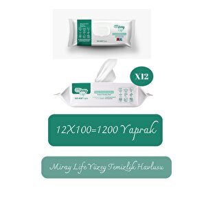 Yüzey Temi̇zleme Havlusu 100 Lü X12 Adet