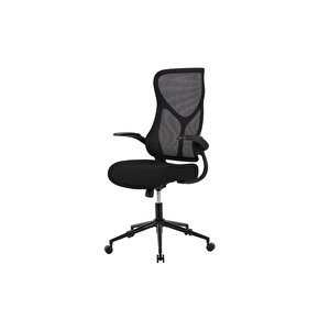 Techno Rest File Sırtlı Çalışma Koltuğu-siyah 65x110-120x67 Cm (gxyxd)
