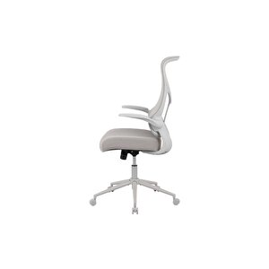 Techno Rest File Sırtlı Çalışma Koltuğu-bej-gri 65x110-120x67 Cm (gxyxd)