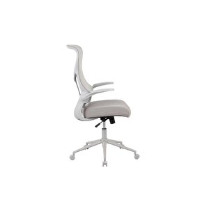 Techno Rest File Sırtlı Çalışma Koltuğu-bej-gri 65x110-120x67 Cm (gxyxd)