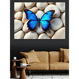 Taşlar Üzerinde Mavi Kelebek Dekoratif Kanvas - Mdf Ahşap Tablo 35x50 cm