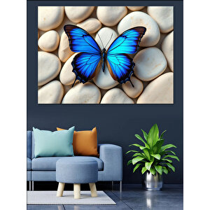 Taşlar Üzerinde Mavi Kelebek Dekoratif Kanvas - Mdf Ahşap Tablo 35x50 cm
