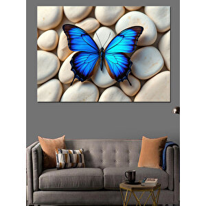 Taşlar Üzerinde Mavi Kelebek Dekoratif Kanvas - Mdf Ahşap Tablo 35x50 cm