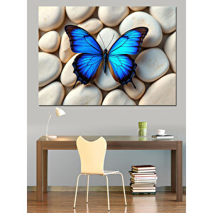 Taşlar Üzerinde Mavi Kelebek Dekoratif Kanvas - Mdf Ahşap Tablo