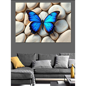 Taşlar Üzerinde Mavi Kelebek Dekoratif Kanvas - Mdf Ahşap Tablo