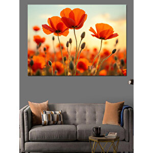 Turuncu Gelincik Çiçekleri Dekoratif Kanvas - Mdf Ahşap Tablo 25x35 cm