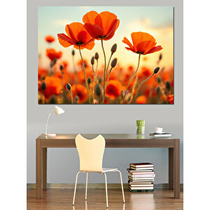 Turuncu Gelincik Çiçekleri Dekoratif Kanvas - Mdf Ahşap Tablo 25x35 cm