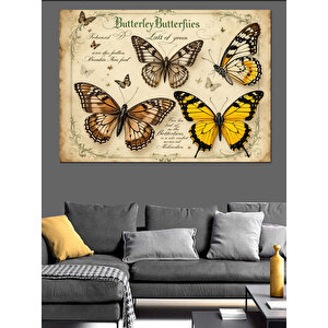 Vintage Kelebek Bilimsel Çizimleri Dekoratif Kanvas - Mdf Ahşap Tablo 50x70 cm
