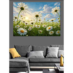 Bahçede Açmış Papatya Çiçekleri Dekoratif Kanvas - Mdf Ahşap Tablo