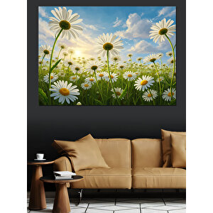 Bahçede Açmış Papatya Çiçekleri Dekoratif Kanvas - Mdf Ahşap Tablo
