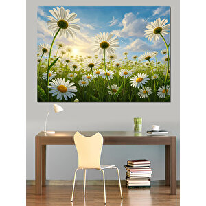 Bahçede Açmış Papatya Çiçekleri Dekoratif Kanvas - Mdf Ahşap Tablo 70x100 cm