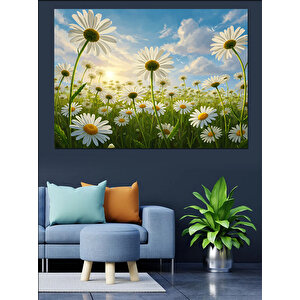 Bahçede Açmış Papatya Çiçekleri Dekoratif Kanvas - Mdf Ahşap Tablo 35x50 cm