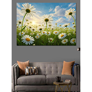 Bahçede Açmış Papatya Çiçekleri Dekoratif Kanvas - Mdf Ahşap Tablo 35x50 cm