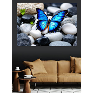 Taşlar Üzerinde Mavi Kelebek Dekoratif Kanvas - Mdf Ahşap Tablo 50x70 cm