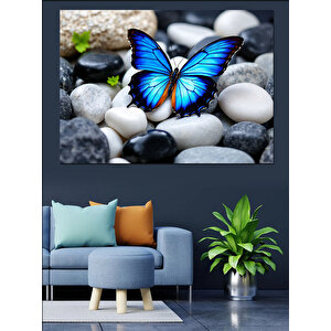 Taşlar Üzerinde Mavi Kelebek Dekoratif Kanvas - Mdf Ahşap Tablo 70x100 cm