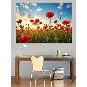 Gelincik Çiçekleri Dekoratif Kanvas - Mdf Ahşap Tablo 50x70 cm