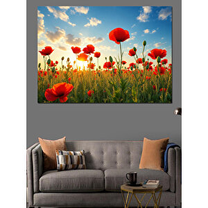 Gelincik Çiçekleri Dekoratif Kanvas - Mdf Ahşap Tablo 100x140 cm