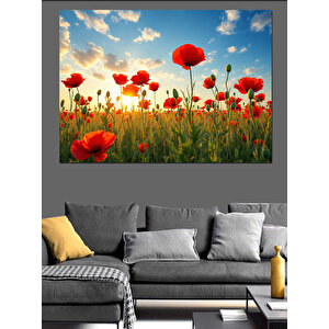 Gelincik Çiçekleri Dekoratif Kanvas - Mdf Ahşap Tablo 100x140 cm