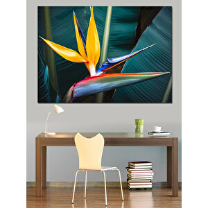 Tropikal Cennet Kuşu Çiçeği Dekoratif Kanvas - Mdf Ahşap Tablo